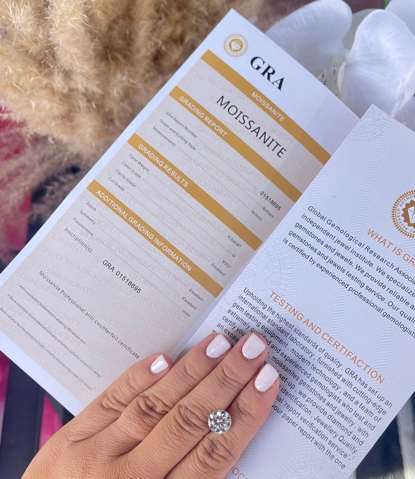 14K Solid Gold Bezel Round Moissanite Studs